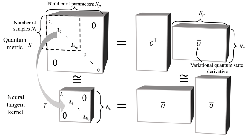 Empowering deep neural quantum states through efficient optimization